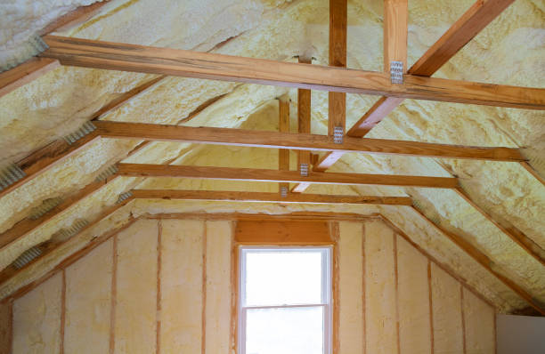 Best Insulation Replacement Services  in Hampshire, IL