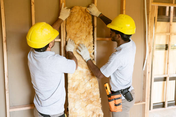 Best Crawl Space Insulation  in Hampshire, IL