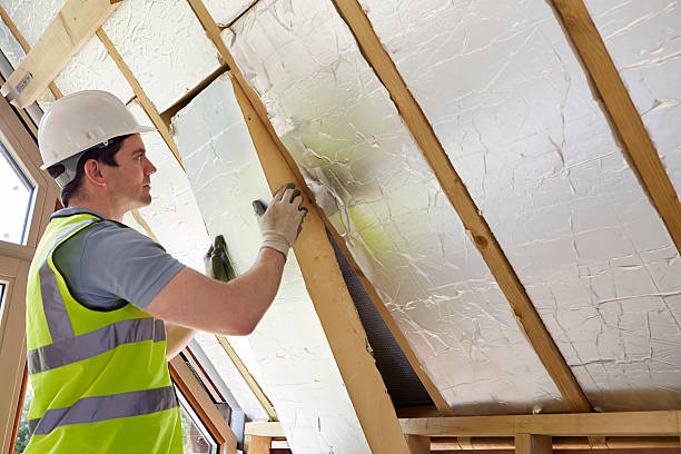 Best Spray Foam Insulation  in Hampshire, IL